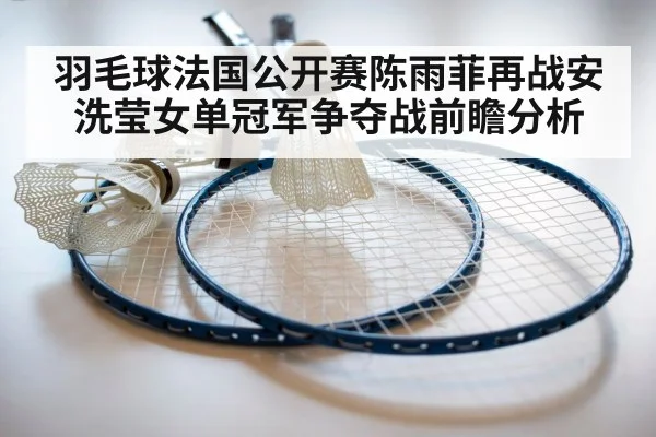 badminton shuttlecock racket close up